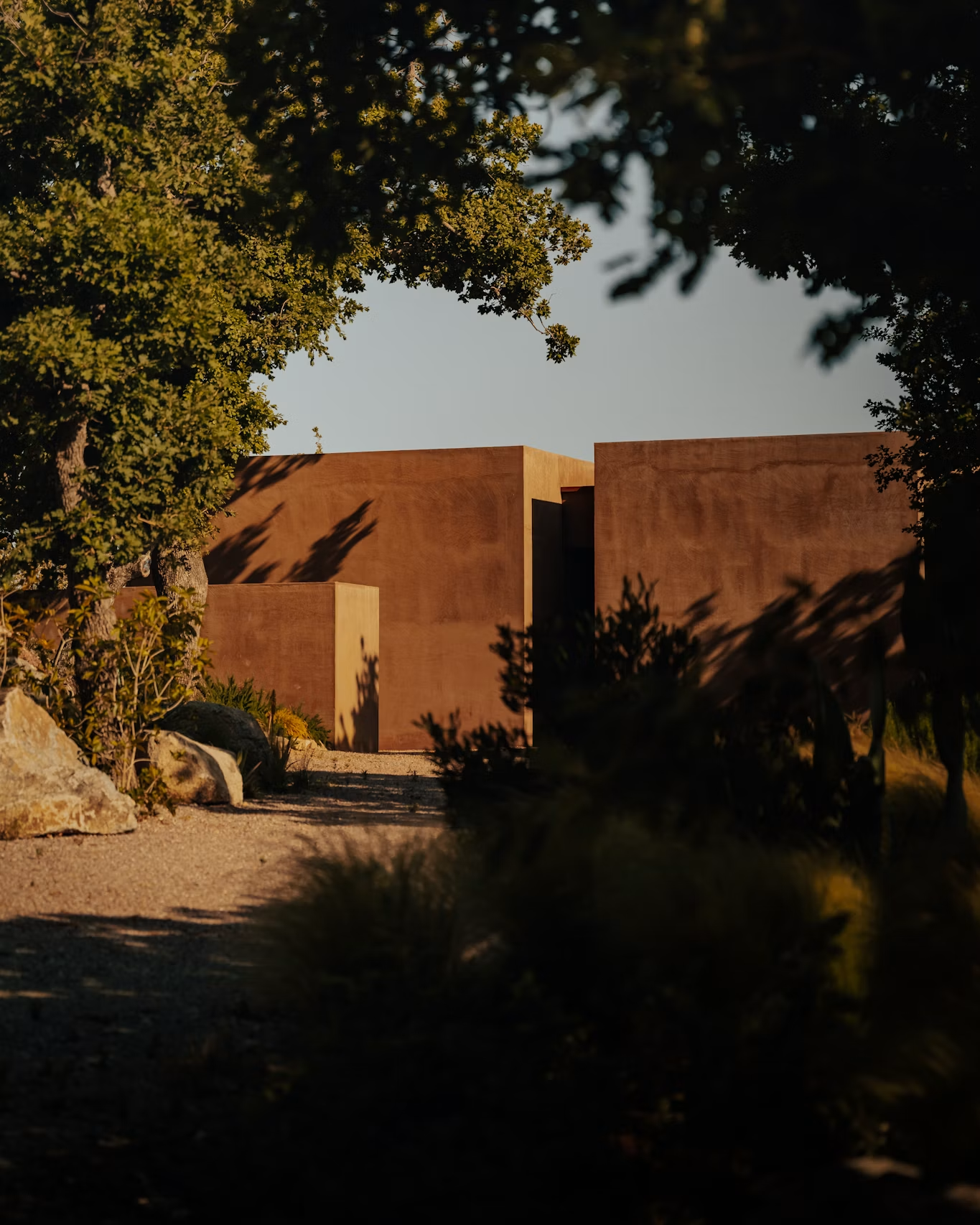 A quiet modern studio surrounded by trees