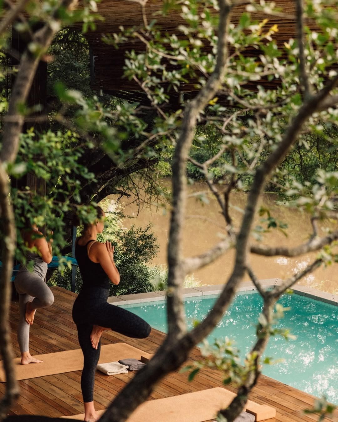 Yoga beside a pool among garden trees